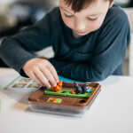 Smart Games Squirrels Go Nuts! joc de logica cu 80 de provocari 6+ ani, editie lb. Romana - imagine 4