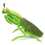 Jucarie de plus insecta calugarita / lacusta verde si realista 34 cm insecta din plus moale - imagine 4